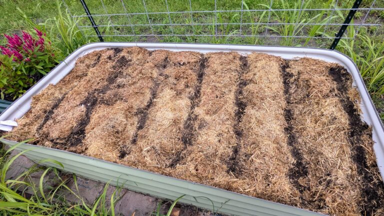 More Than Planting Seeds: Building the Next Chapter of Able Journey Farm