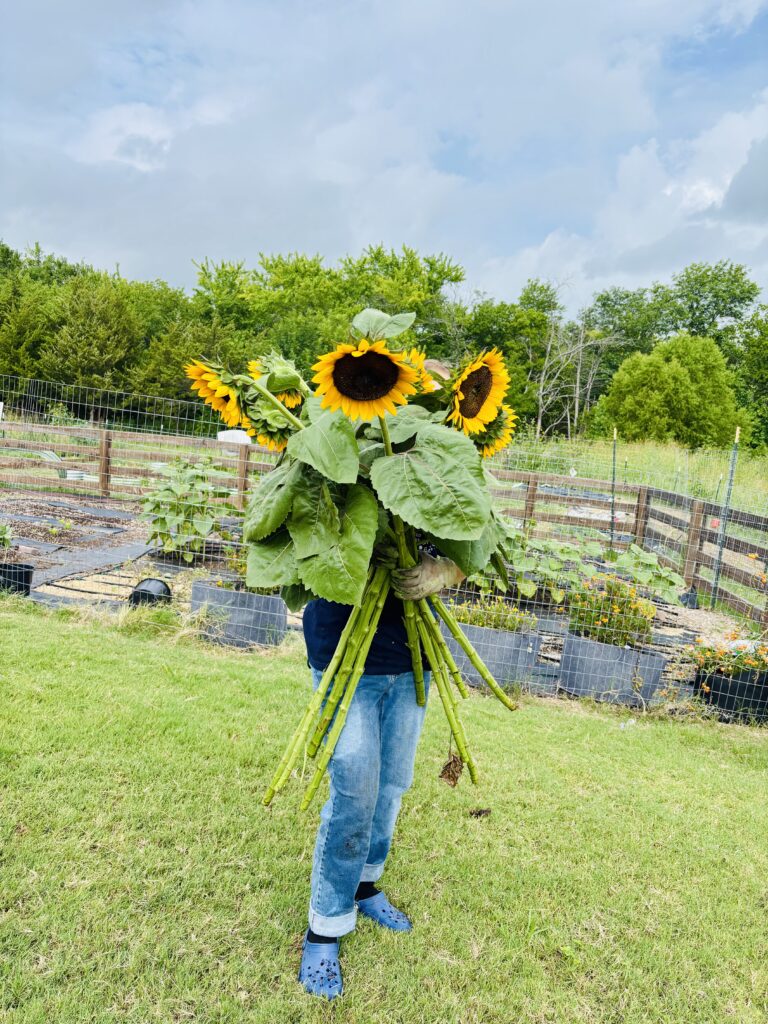 The Day We Harvested Our First Flowers